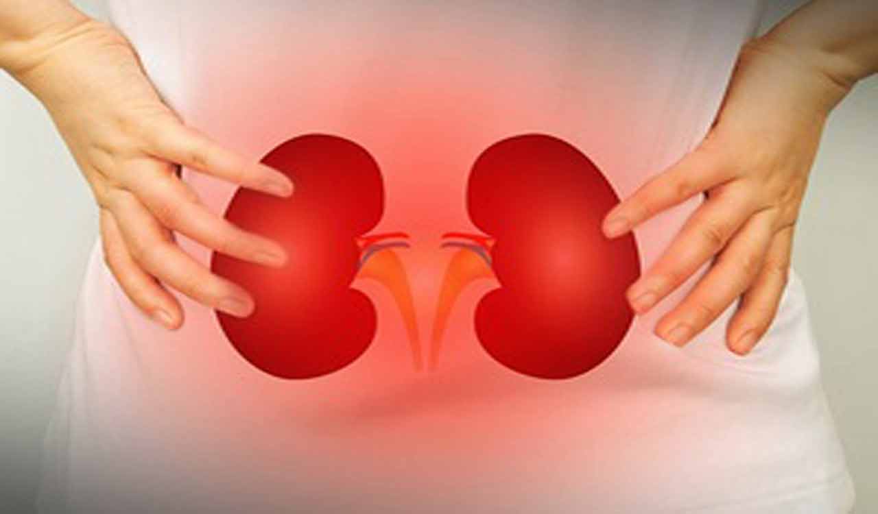 Mystery kidney disease rising in Hyderabad, affecting young and healthy individuals: OGH study