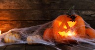 Brits given Halloween warning that could lead to infestations