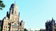 1,244 trees to be affected for second phase of coastal road: BMC to approach high court to get nod for clearance