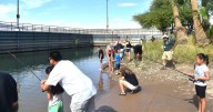 Checking all the boxes | Youth fishing event accomplished many goals