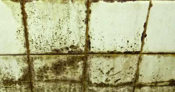 Adiós a los hongos | La fórmula casera ideal para limpiar el baño y eliminar el moho: fácil, rápido y sin gastar dinero