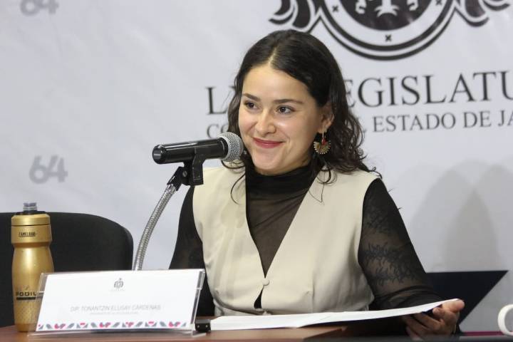 Los usuarios deben tener mayor representación en el Comité de Tarifas del Transporte, advierte legisladora