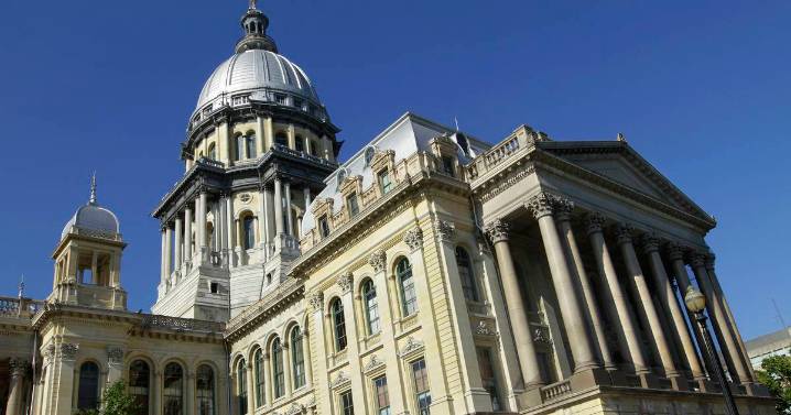 Illinois lawmakers condemn ICE raids in Chicago, weigh state response