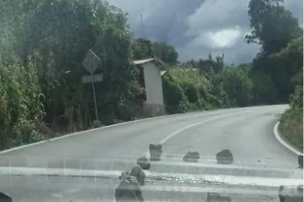 URGE legislar sobre instalación de topes en carreteras de Chiapas: diputada Érika Mendoza