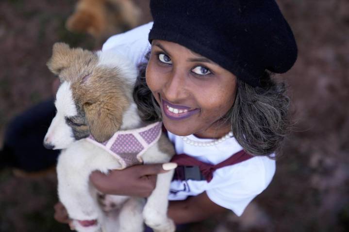 Abandoned dogs in Ethiopia’s capital get little care. A woman wants to change that