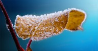 A frosty Friday morning