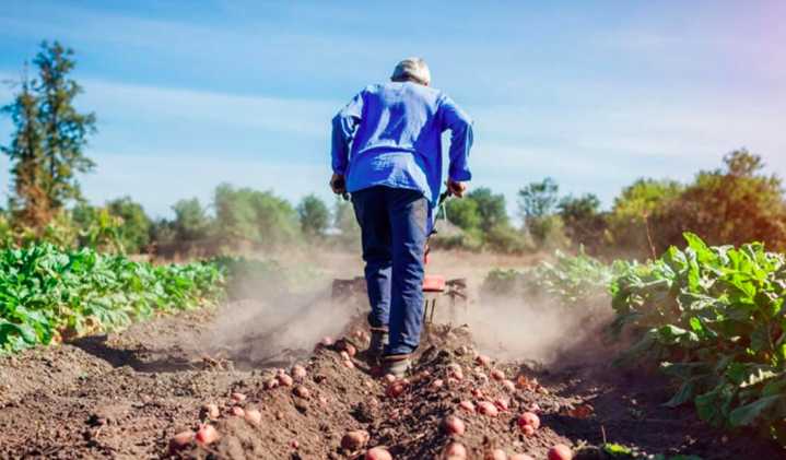 El Gobierno extendió el decreto para compatibilizar el trabajo rural temporario con planes sociales