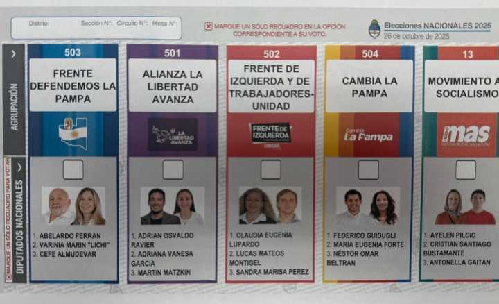 Encuestas: el PJ ganaría en 10 provincias y LLA en 4
