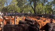 REMATES DE HACIENDAS . Poco y firme