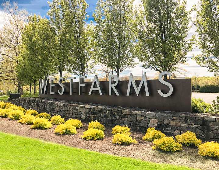 A large supermarket chain coming to a CT mall. Here's where.