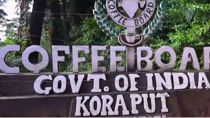 Indian coffee gaining popularity globally: PM Modi