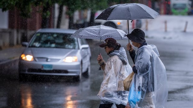 Strong winds, rain knock out power as weather system moves to southern B.C.