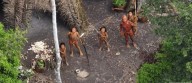 50% de pueblos indígenas aislados desaparecerían en 10 años