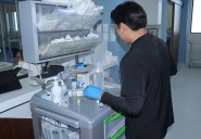 Buscan promocionar medicina científica y holística en Cancún