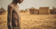 More Than 54,000 Gaza Children Now Severely Malnourished, U.N. Warns