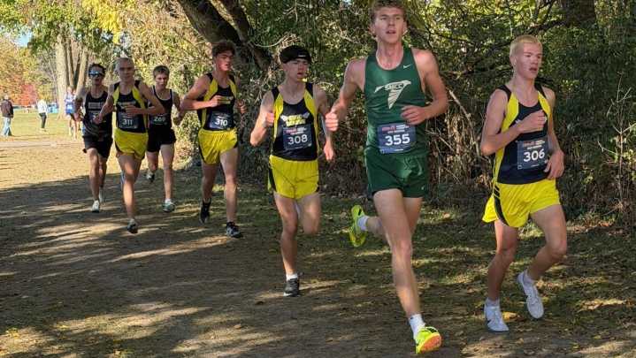 Erie Mason boys, SMCC's Craanen crowned regional cross country champs