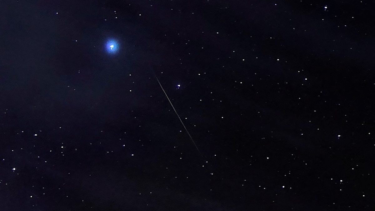 Orionid Meteor Shower Lights Up Night Sky: How And Where To Watch The Celestial Display