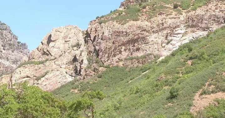 93 BLM Utah jobs could be lost under proposed Interior layoffs