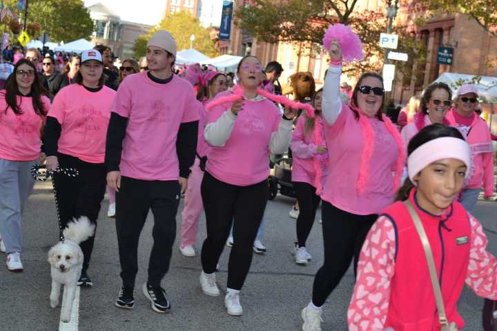 'Sea of pink' in Providence for Making Strides Against Breast Cancer Walk