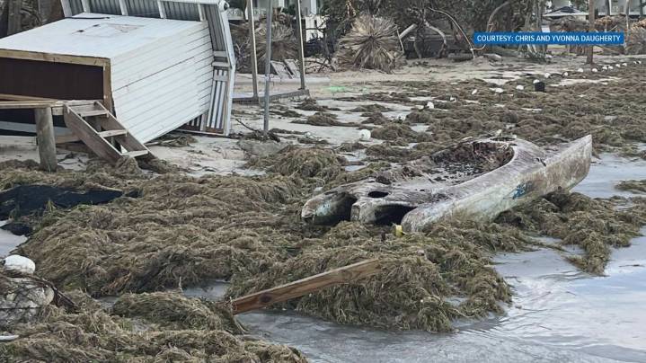 East Tennesseans with ties to Jamaica share how they're faring, ways to support the country