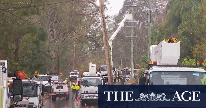 Clean-up continues in Brisbane after Sunday storms