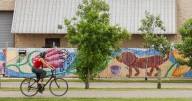 $1.5 million grant will help plant trees along the Lafitte Greenway, increasing canopy in Treme