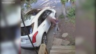 'It's violating, he watched from the bushes, stole $700': Norfolk business owner speaks out after theft