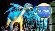 Sernac denuncia estafa por falso panorama publicado en redes: ¿Qué hacer si compraste entradas?