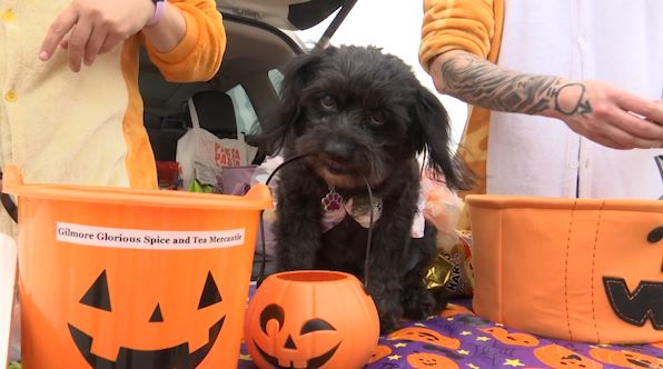Lincoln Elementary stays safe while celebrating Halloween early