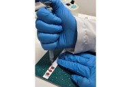 Investigadores de la universidad UNAL revelaron el mapa genético de las enfermedades raras de Boyacá