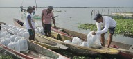 FAO reconoce aporte del ‘Plan + Pescao’ a sistemas alimentarios acuáticos sostenibles