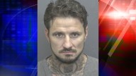 Man allegedly hits attempted murder suspect with a plastic dolphin