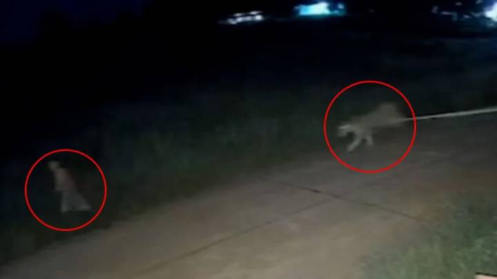 Terrifying moment escaped pet lion chases down boy, 11, before mauling him after escaping from owner’s cage
