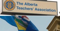 Alberta teachers say fight just begun but will follow the law in back