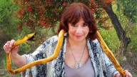 Horóscopo Chino: los signos que, según Ludovica Squirru, tendrán un mes de cambios drásticos y presión financiera
