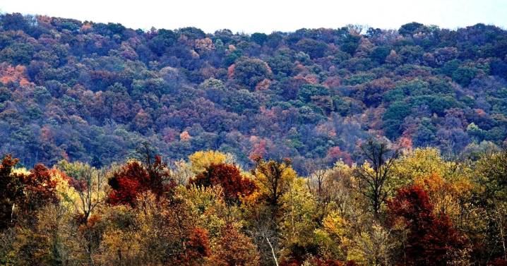 The perfect leaf peeping trip near St. Louis