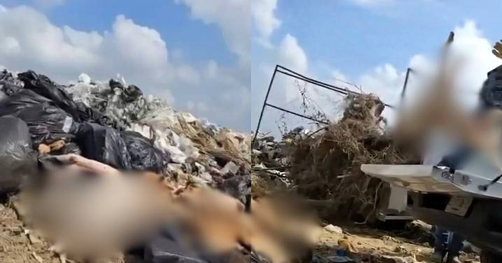 Escándalo en Coahuila: tiran cuerpos de perros en el basurero de Piedras Negras
