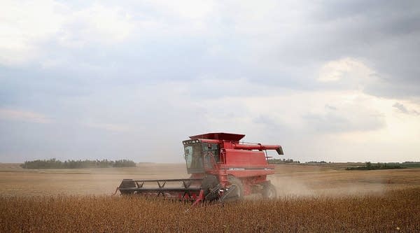 Minn. detects soybean disease with no cure