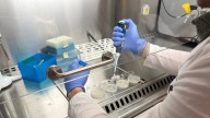 Científicos catalanes hallan la clave contra los microplásticos: bacterias que se comen el plástico del mar