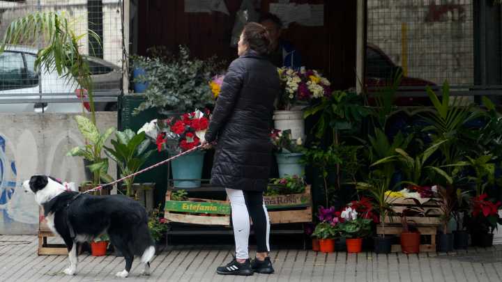 El tiempo en Rosario: hasta cuando seguirá el frío en la ciudad