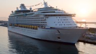 La mujer se da cuenta de que su perro se estresa volando y activa el plan "crucero de lujo" para trasladarlo