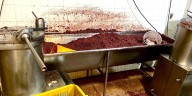 Autoridades sellan fábrica de rellena en Kennedy: operaba en medio de residuos fecales y roedores