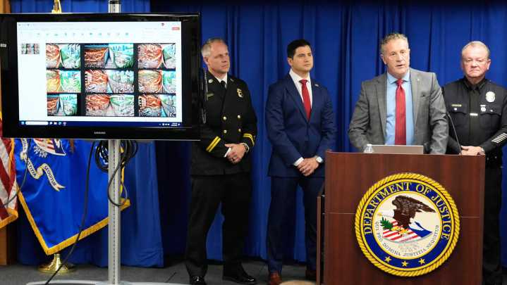 Man charged in deadly Palisades Fire will remain jailed