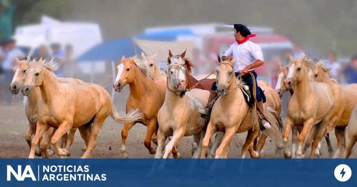 Fogones, shows y cabalgatas: las mejores fiestas rurales de octubre para disfrutar en Buenos Aires