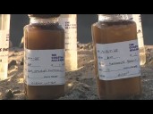 Santa Monica Bay faces pollution concerns after Palisades Fire