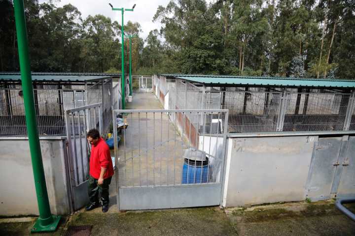 Gijón comenzará en julio de 2026 la reforma integral del Albergue de Animales