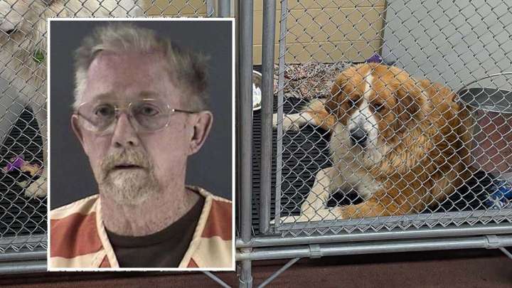 Conditions For Animals ‘Abhorrent’ Inside Home Of Alleged Hoarder