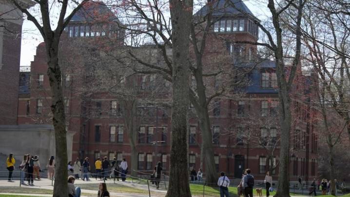 Man opens fire near Harvard, triggering university lockdown; cops launch manhunt