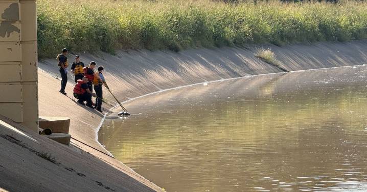 Seven deaths reported in Houston area bayous draws speculation
