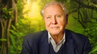 Sir David Attenborough, 99, Breaks Dick Van Dyke’s Record As Oldest Daytime Emmy Winner